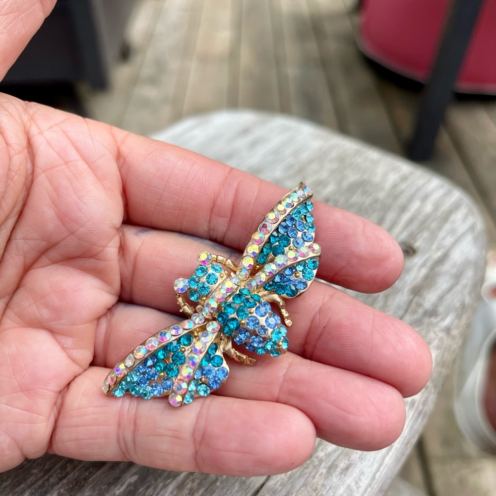Stunning insect Brooch